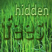 Fees_Hidden2 Fees_Hidden2